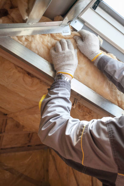 Best Specialty Insulation in Lamont, MI