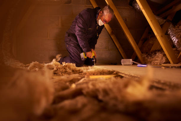 Best Insulation Maintenance and Repair in Lamont, MI